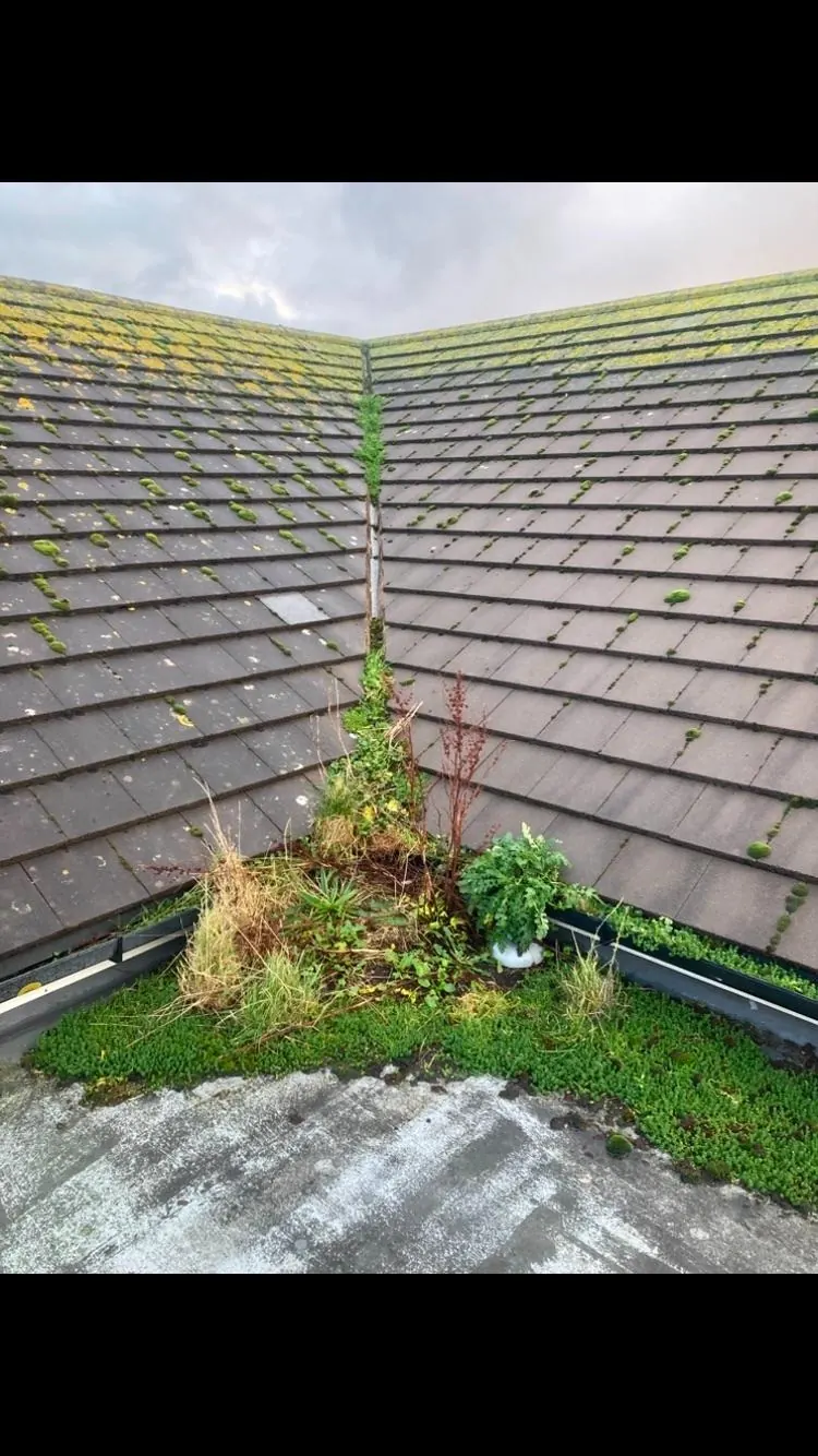 Working at Heights project — WP Roofing & Building Ltd, Cumbria #16